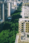 _J8A8481