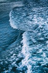 _MG_0617
