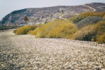 _MG_2124