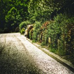_MG_5076-Modifier